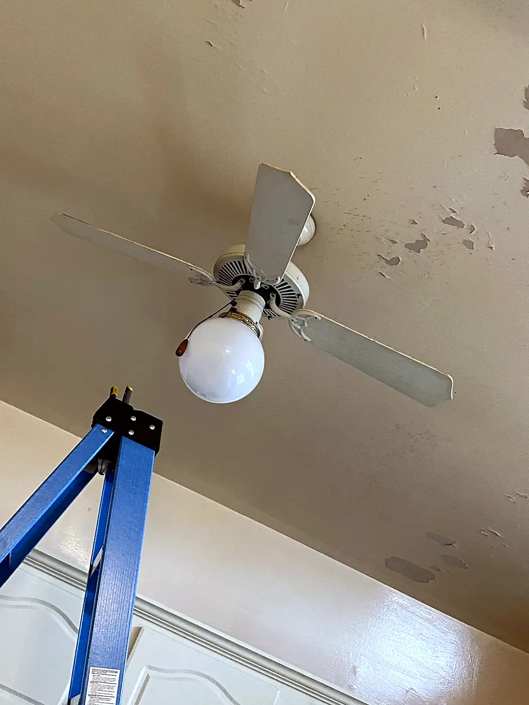 White four-blade ceiling fan with a globe light on a tan ceiling, top of a blue ladder in the frame