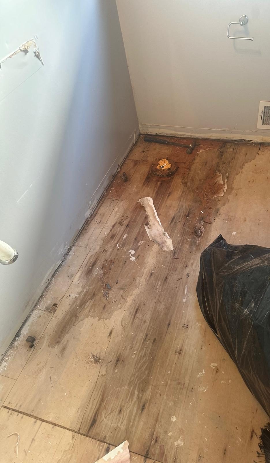 Powder room stripped to bare plywood subfloor with the toilet removed and the flange capped