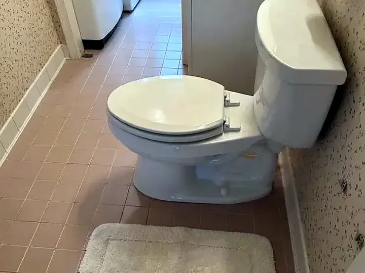 Toilet Repair by Sam & Sons Services