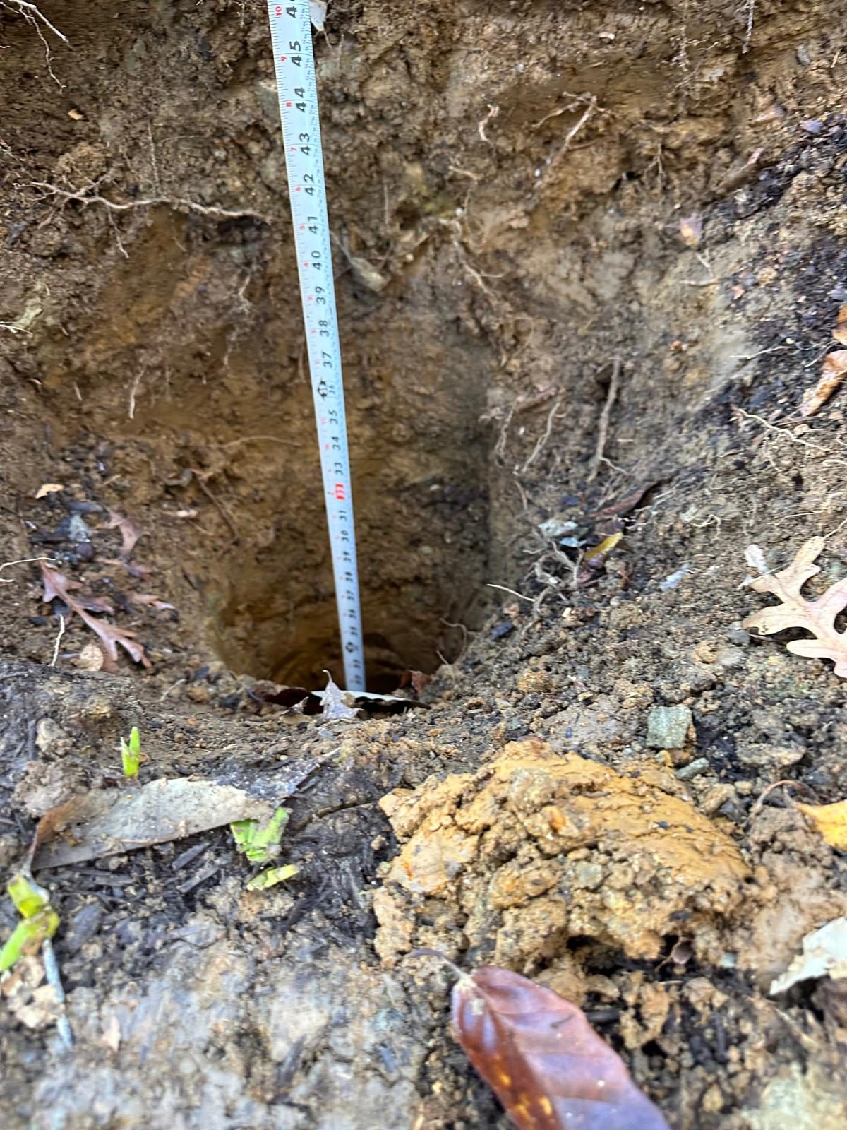 A dug fence post hole being checked for depth before the replacement post is set
