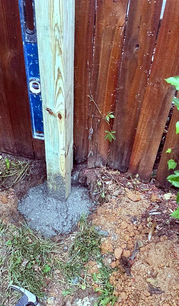 New pressure-treated fence post set in wet concrete next to a stained wood privacy fence