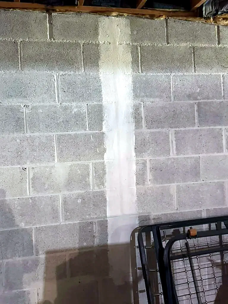Gray concrete block basement wall with a vertical crack and a lighter patched strip running top to bottom