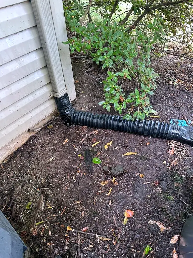 Downspout at a house corner feeding into black corrugated drain pipe laid in a dirt trench beside shrubs