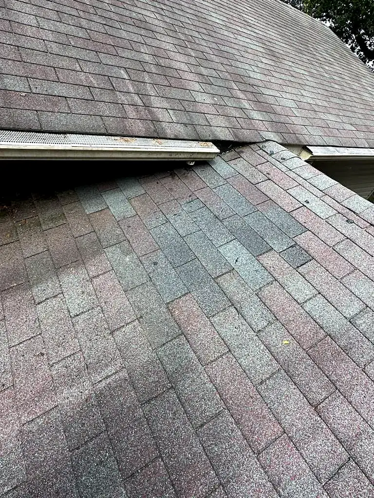 Asphalt shingle roof edge with metal drip edge and a gutter guard along the eave