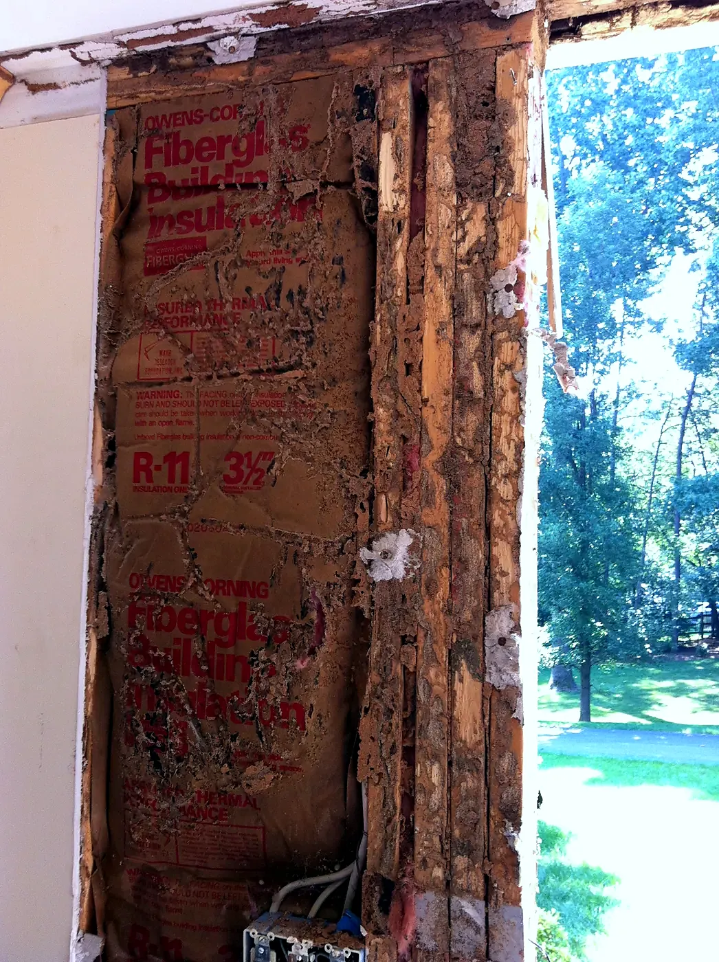 Open door jamb with rotted framing and exposed kraft-faced insulation, trees visible through the opening