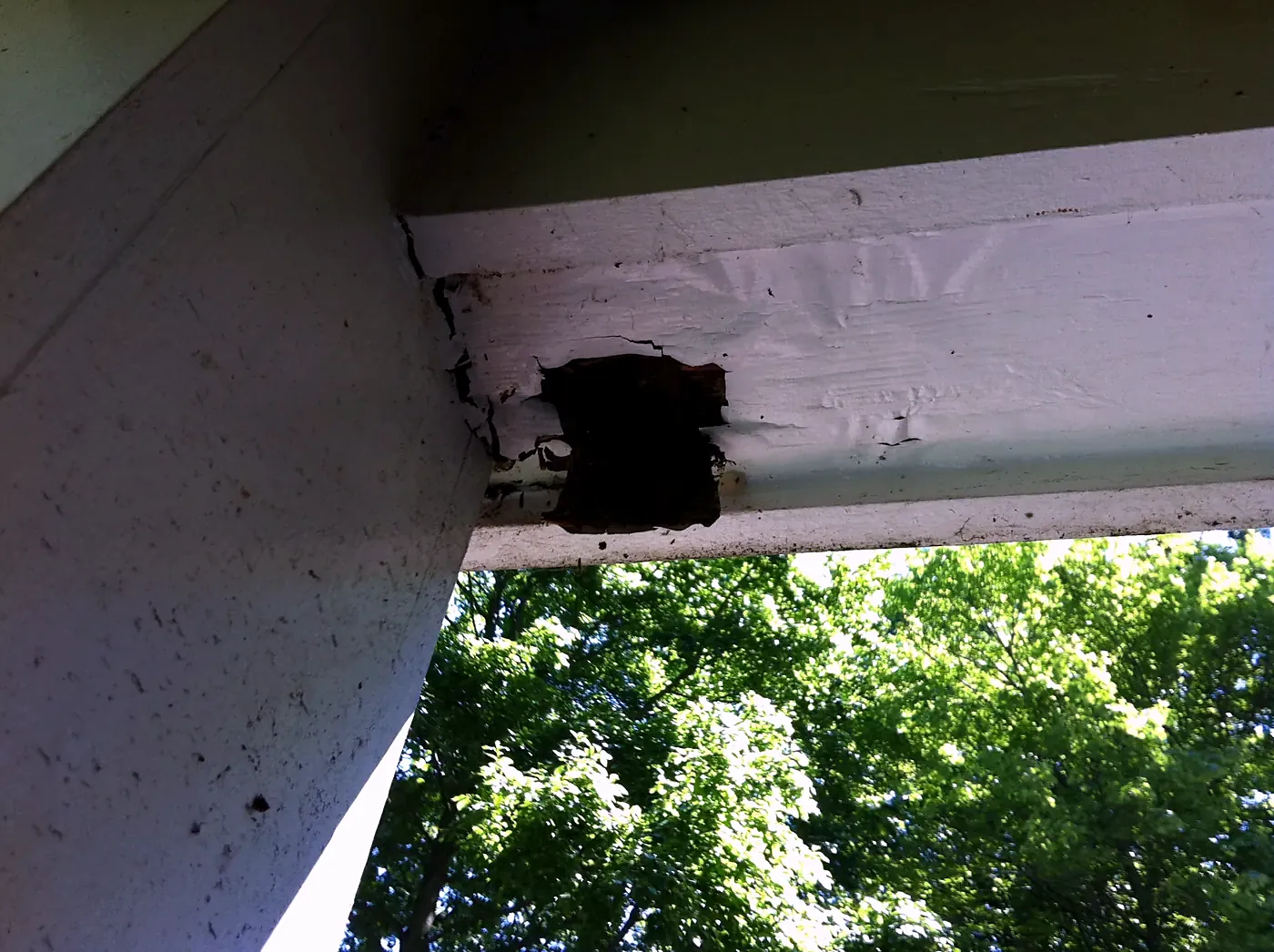 Underside of a white porch beam with a dark rotted hole at the end, green trees in the background