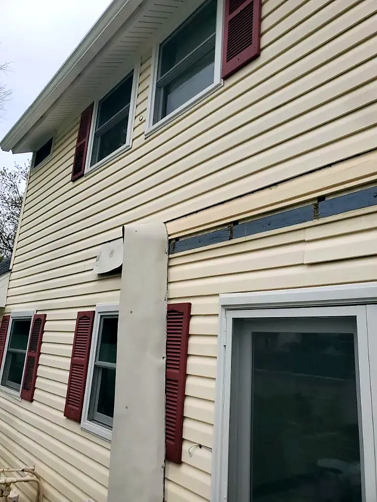 Rear wall of a cream vinyl-sided house with a horizontal strip of siding missing above the windows