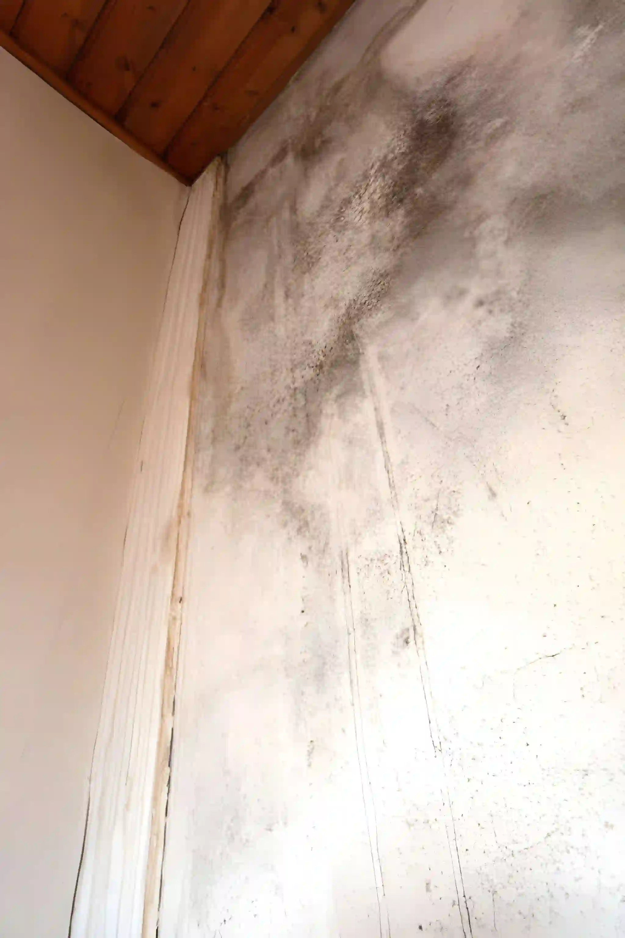 interior wall water damage and moisture staining caused by an active roof leak requiring emergency roof leak repair in alexandria va.