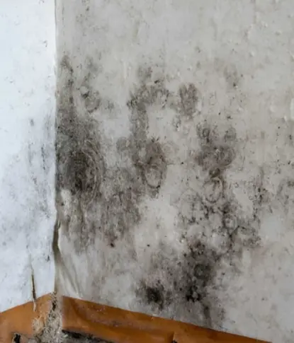 mold-covered interior wall caused by an active roof leak requiring emergency roof leak repair in annandale va.