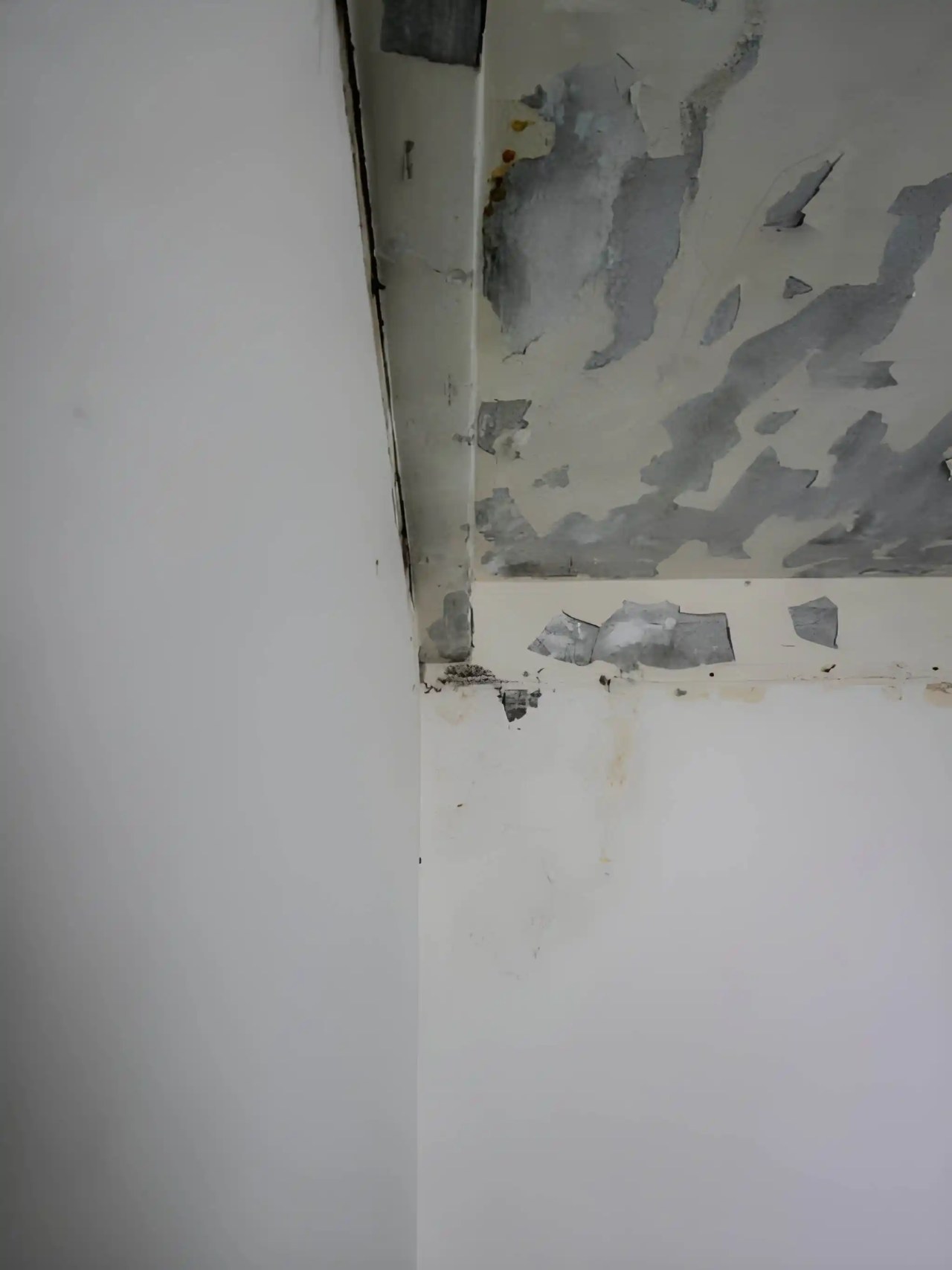 emergency roof leak damage with peeling ceiling paint and water stains requiring roof leak repair in burke va
