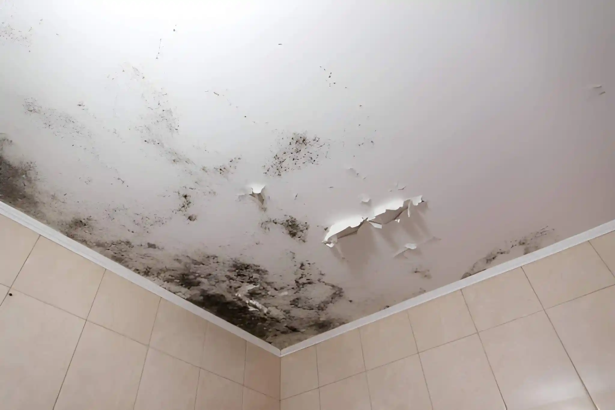 emergency roof leak damage causing ceiling mold and peeling paint in a herndon va home