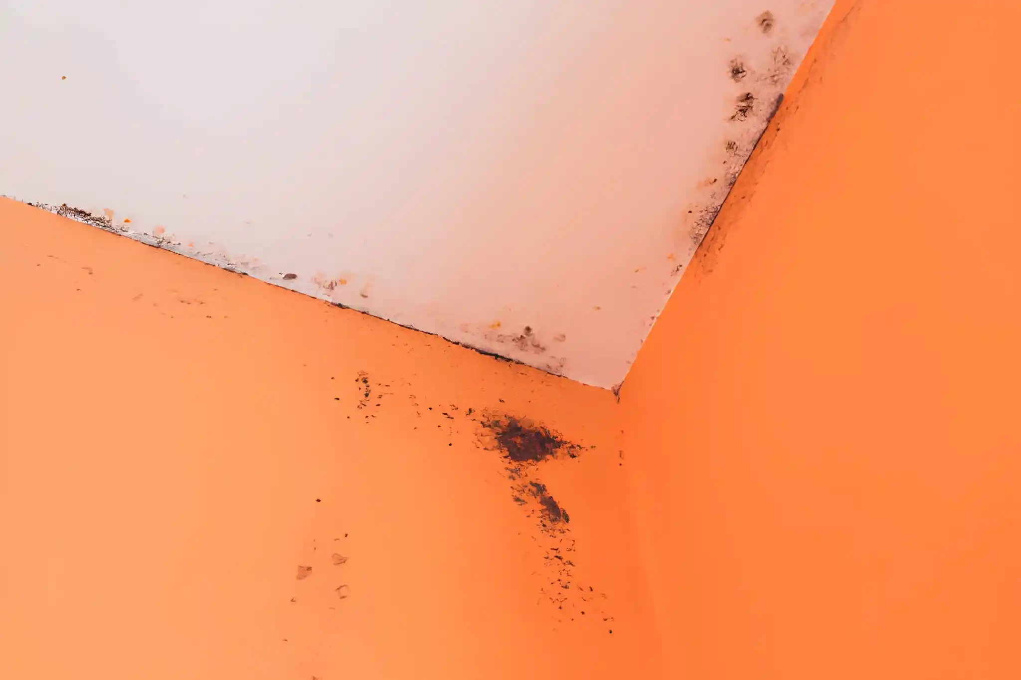 emergency roof leak causing ceiling and wall mold damage in oakton va