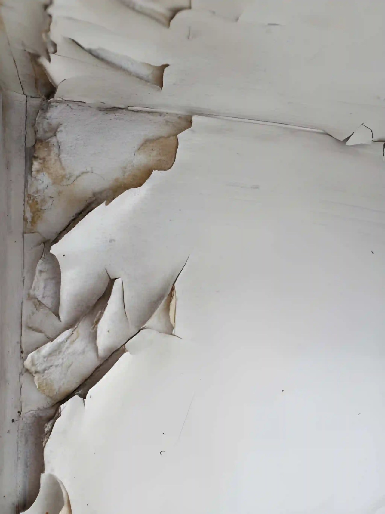 peeling ceiling paint and water damage caused by a roof leak requiring roof leak repair near me in centreville va
