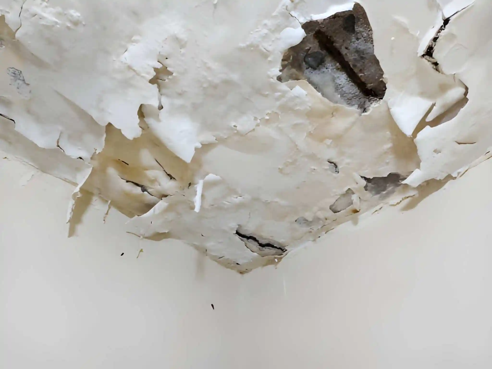 severe ceiling drywall damage and peeling paint caused by a roof leak requiring roof leak repair near me in falls church va