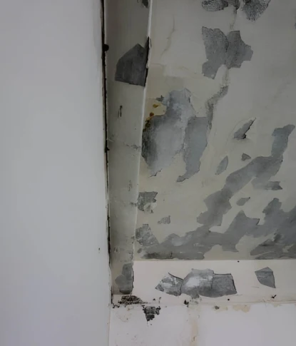roof leak damage with peeling ceiling paint and water intrusion requiring roof leak repair near me in burke va