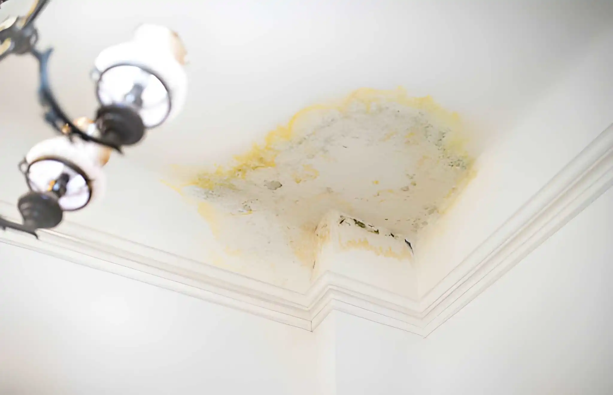 roof leak water stain and ceiling damage near crown molding in a lorton va home