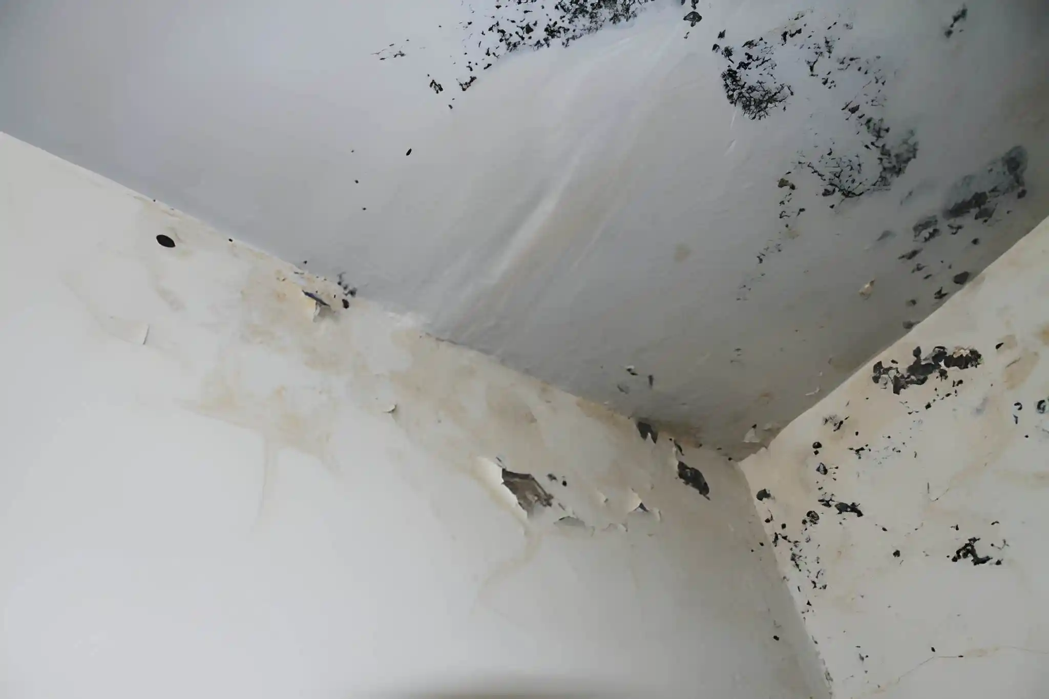 ceiling water damage from roof leak in oakton va home
