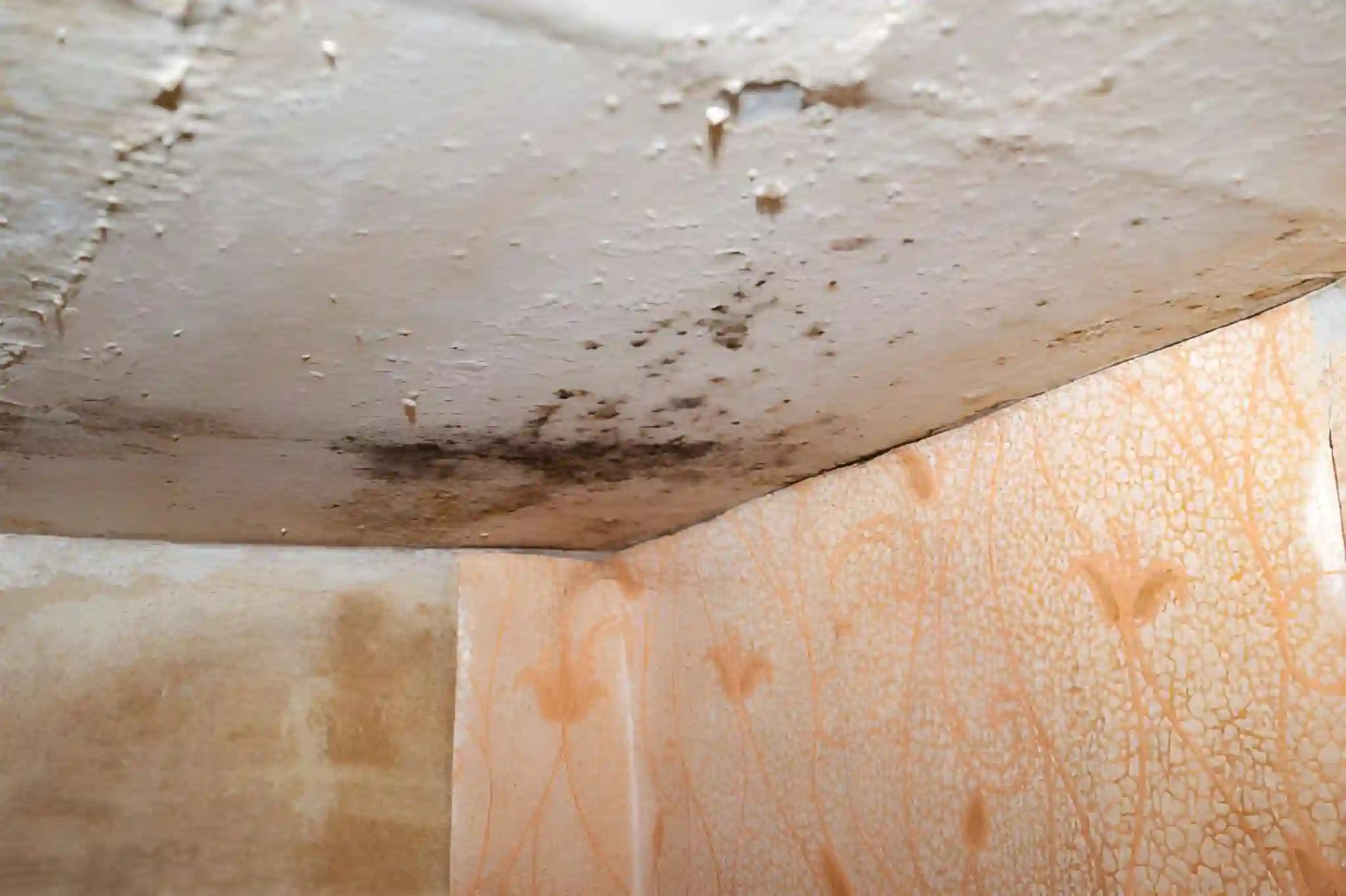 roof leak damage with ceiling mold and water stains in reston va