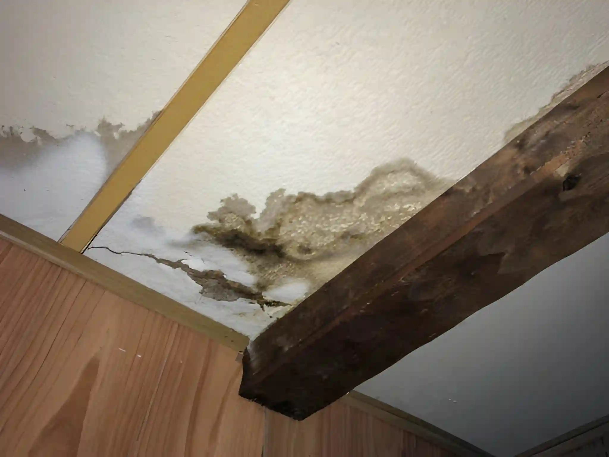 ceiling water damage and wood beam staining caused by an active roof leak requiring roof leak repair near me.