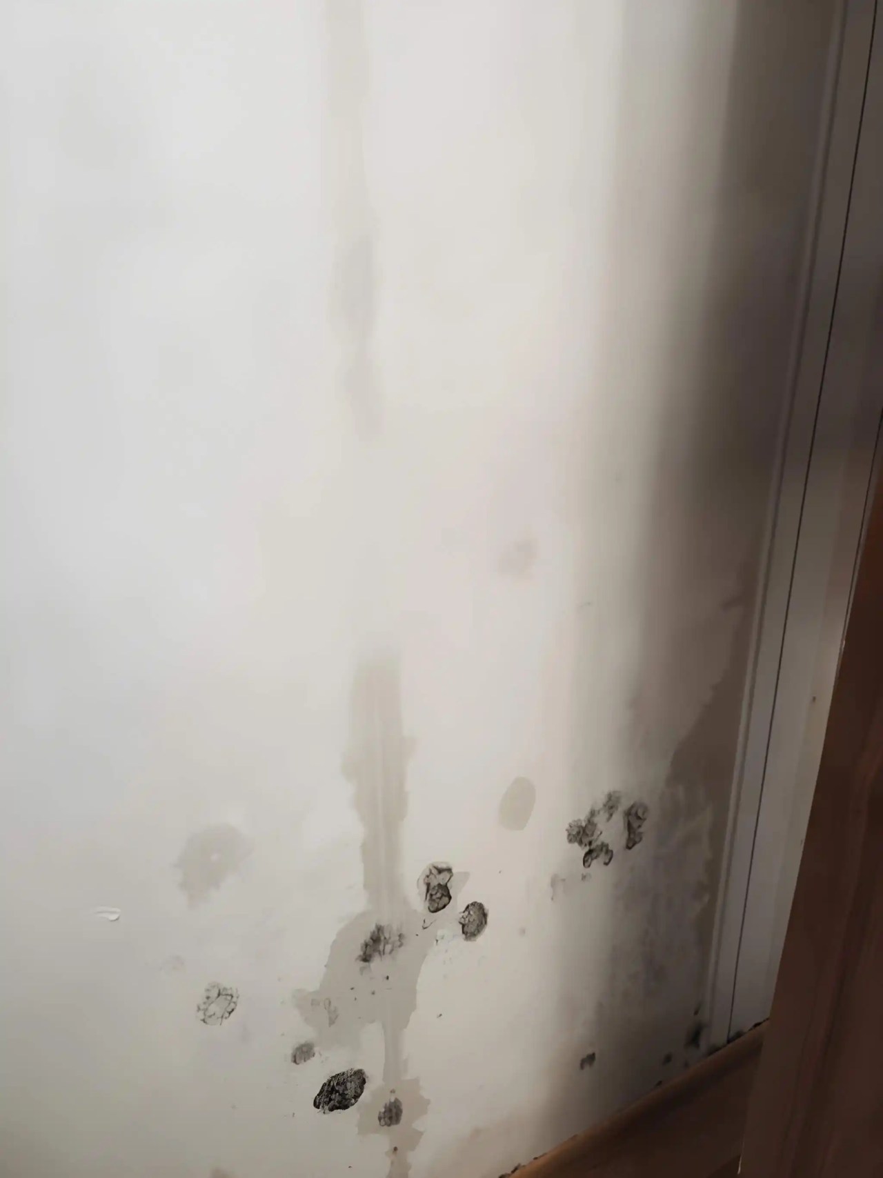 wall water stains and mold spotting caused by a roof leak requiring roof leak repair services in arlington va.