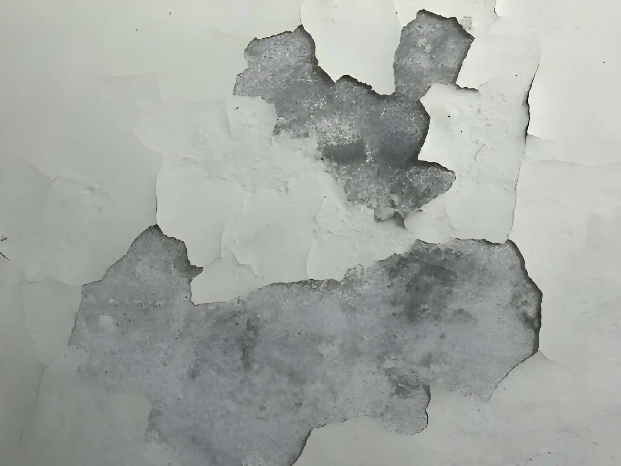 ceiling paint peeling and water damage caused by a roof leak requiring professional roof leak repair services in fairfax va