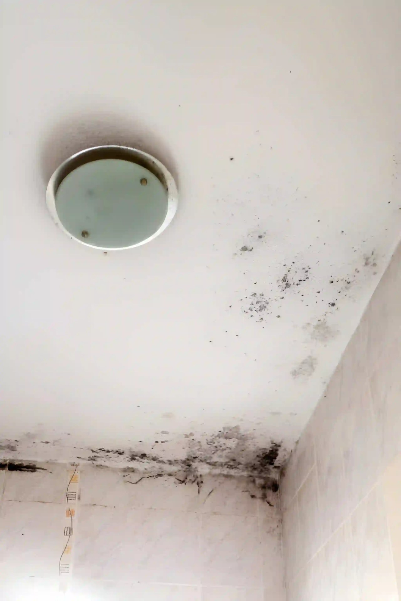 ceiling mold and water damage caused by a roof leak requiring professional roof leak repair services in herndon va