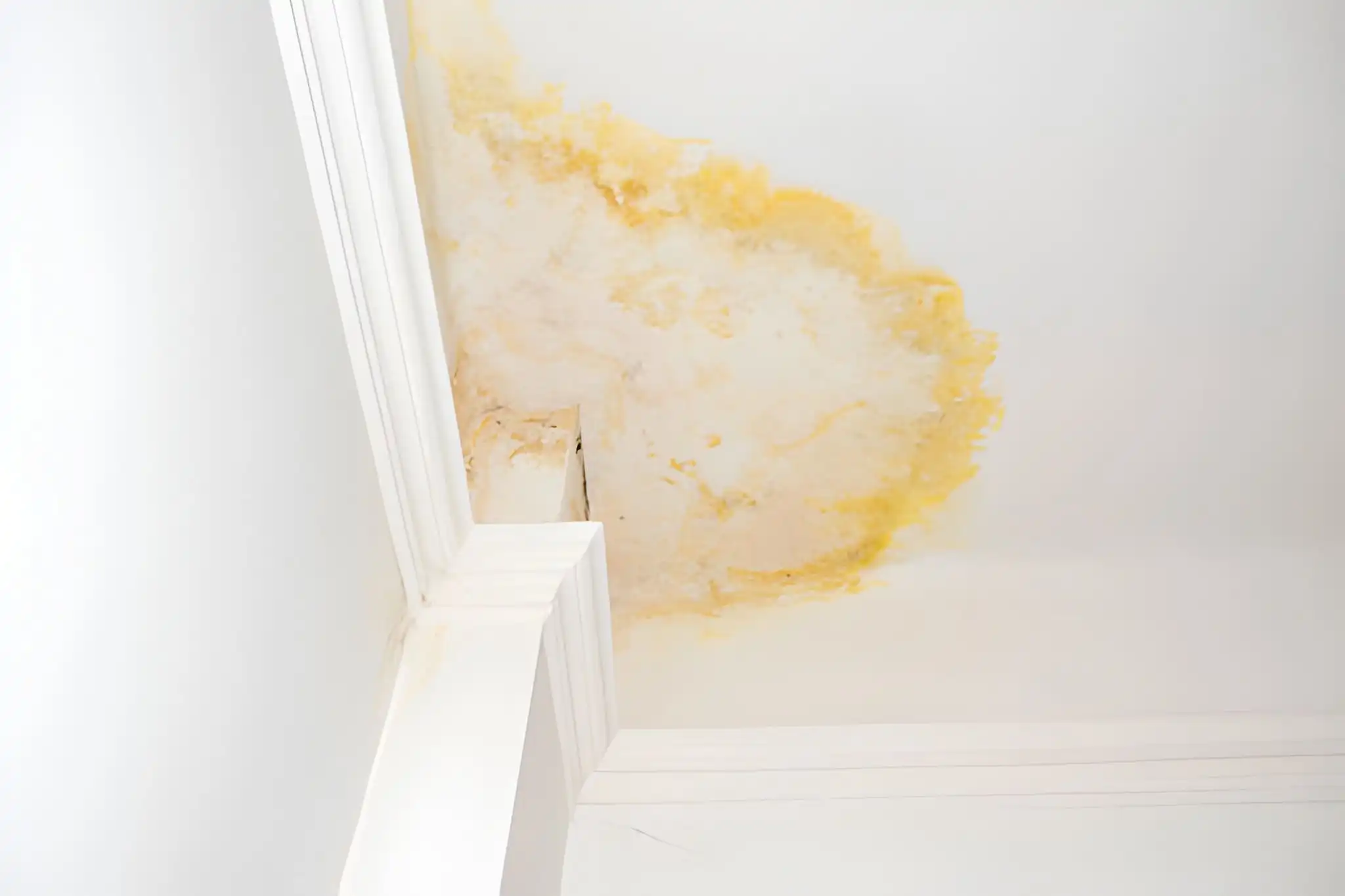 ceiling water stain near crown molding caused by roof leak in lorton va