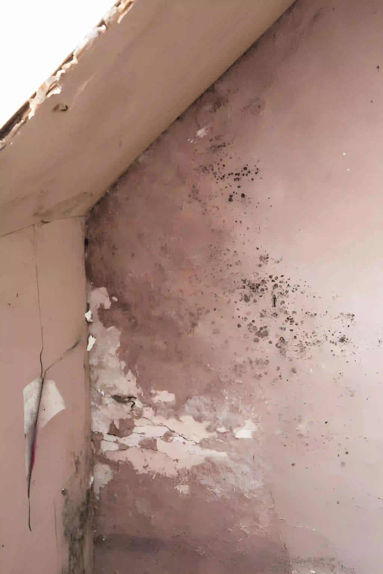 roof leak repair services showing wall and ceiling water damage in reston va