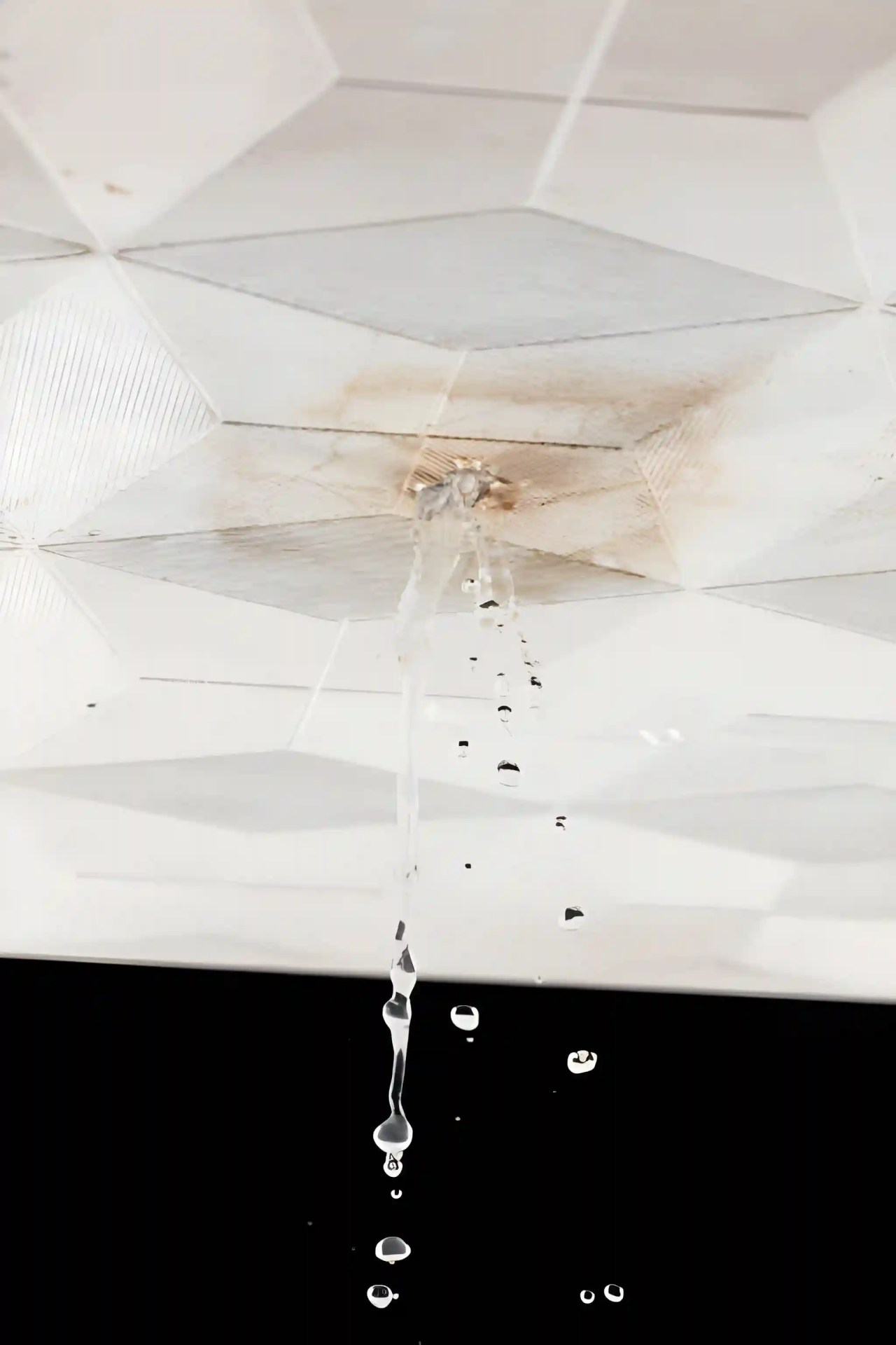 roof leak repair services in vienna va showing water dripping from ceiling due to active roof leak