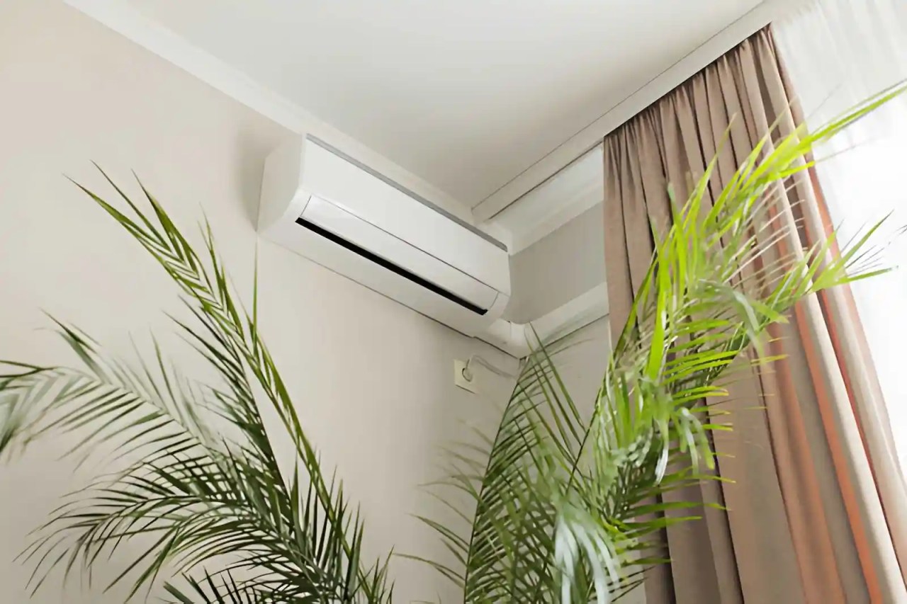 wall-mounted air conditioning unit and indoor plants representing humidifier repair and improved indoor air quality.