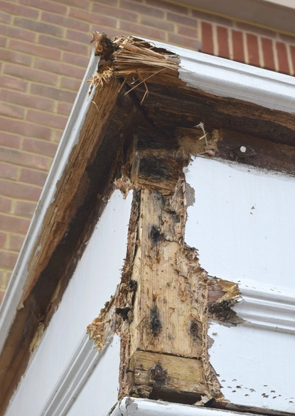 expert wood rot repair in fairfax va repairing exterior fascia and trim