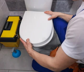 toilet repair in centreville va for clogged and leaking toilets