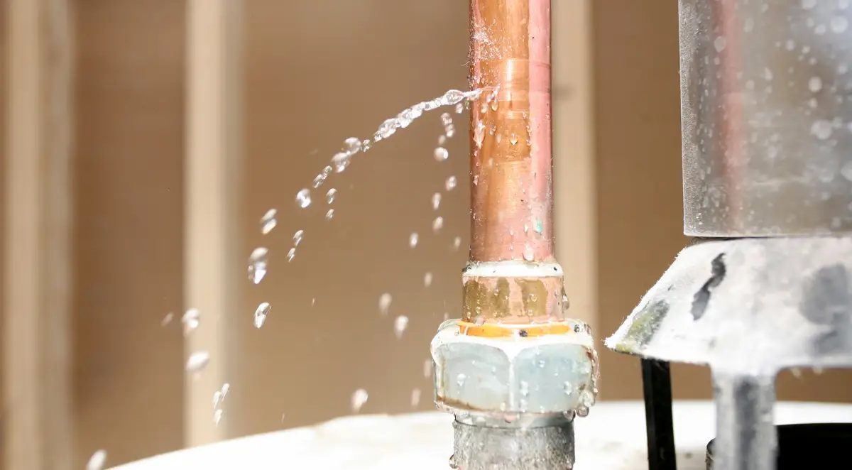 northern virginia plumbing services